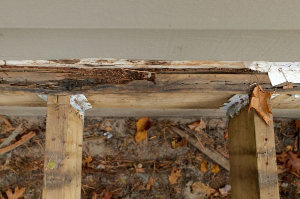 Fredericksburg Wood Rot Repair